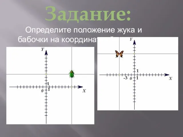 Определите положение жука и бабочки на координатной плоскости. Задание: 1 1 -3 1 1