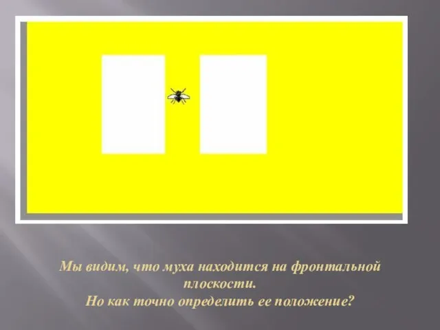 Мы видим, что муха находится на фронтальной плоскости. Но как точно определить ее положение?