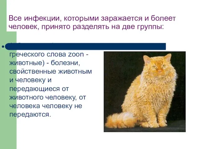 Все инфекции, которыми заражается и болеет человек, принято разделять на две группы: