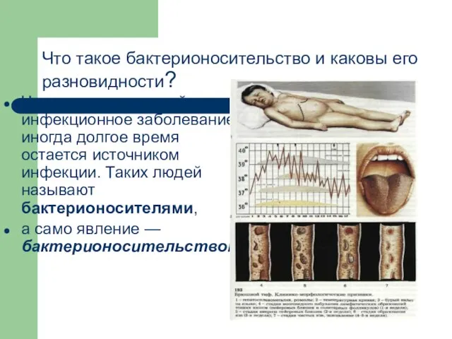 Что такое бактерионосительство и каковы его разновидности? Человек, перенесший инфекционное заболевание, иногда