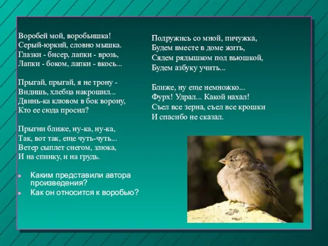 Подружись со мной, пичужка, Будем вместе в доме жить, Сядем рядышком под