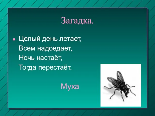 Загадка. Целый день летает, Всем надоедает, Ночь настаёт, Тогда перестаёт. Муха