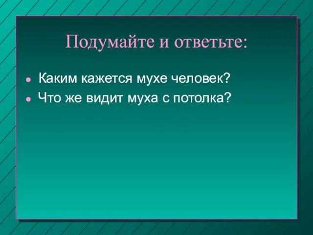 Подумайте и ответьте: Каким кажется мухе человек? Что же видит муха с потолка?