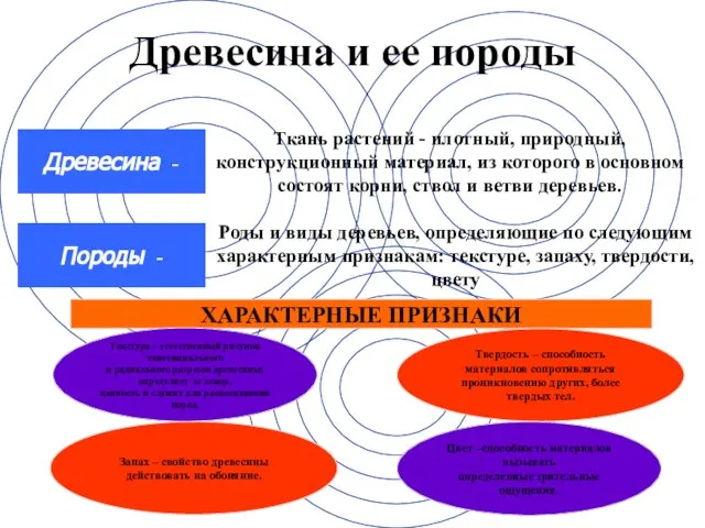 Древесина и ее породы Ткань растений - плотный, природный, конструкционный материал, из