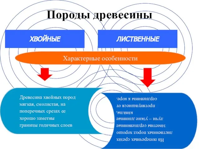 Породы древесины ХВОЙНЫЕ Характерные особенности Чугун (свыше 2% углерода Сталь (до 2%