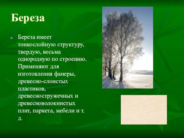 Береза Береза имеет тонкослойную структуру, твердую, весьма однородную по строению. Применяют для