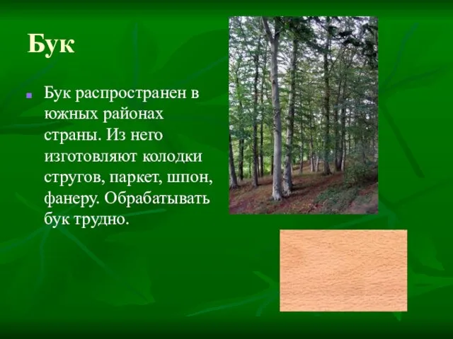 Бук Бук распространен в южных районах страны. Из него изготовляют колодки стругов,