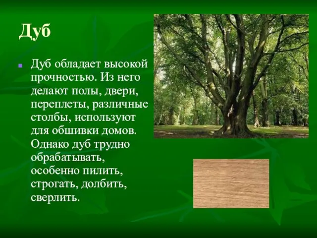 Дуб Дуб обладает высокой прочностью. Из него делают полы, двери, переплеты, различные