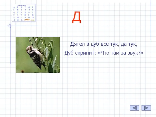 Д Дятел в дуб все тук, да тук, Дуб скрипит: «Что там за звук?»