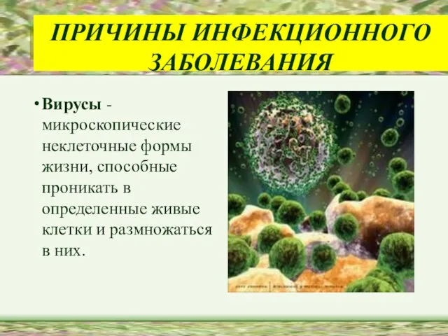 ПРИЧИНЫ ИНФЕКЦИОННОГО ЗАБОЛЕВАНИЯ Вирусы - микроскопические неклеточные формы жизни, способные проникать в