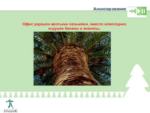 Анонсирование Офис украшен желтыми пальмами, вместо новогодних игрушек бананы и ананасы.