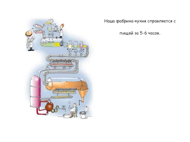 Наша фабрика-кухня справляется с пищей за 5-6 часов.