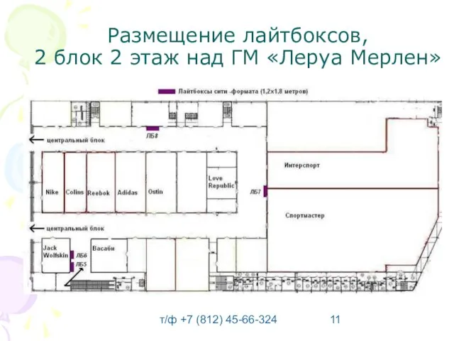 т/ф +7 (812) 45-66-324 Размещение лайтбоксов, 2 блок 2 этаж над ГМ «Леруа Мерлен»
