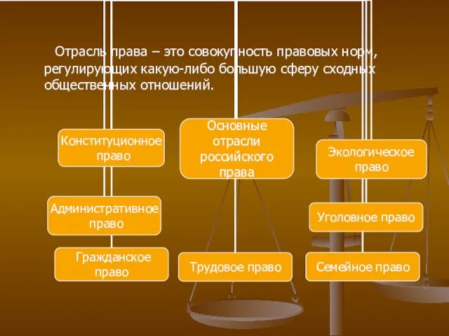 Отрасль права – это совокупность правовых норм, регулирующих какую-либо большую сферу сходных общественных отношений.