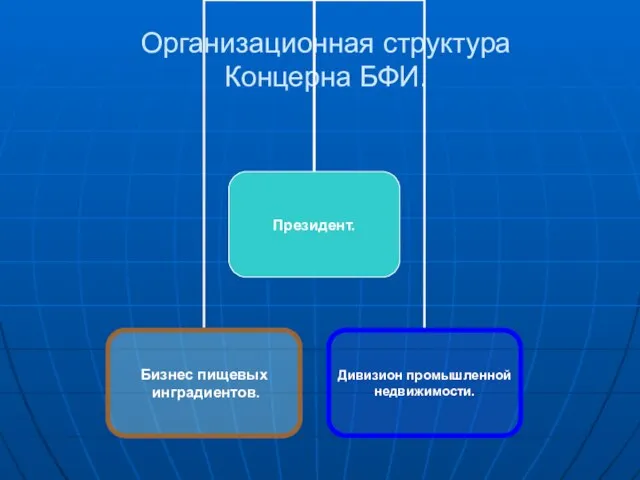 Организационная структура Концерна БФИ.