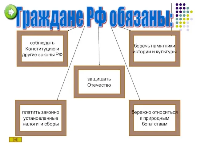 защищать Отечество беречь памятники истории и культуры соблюдать Конституцию и другие законы