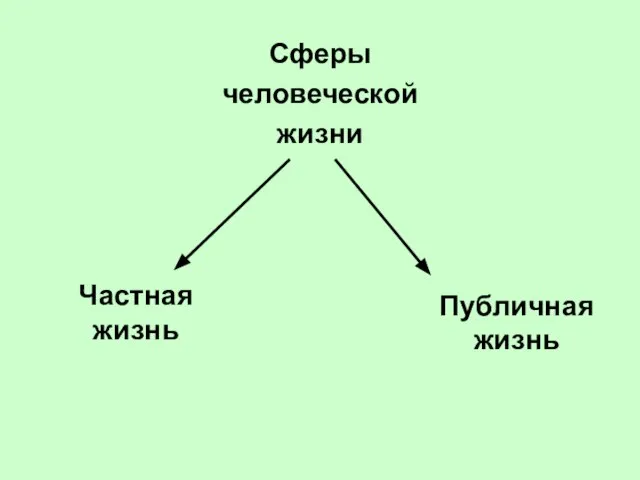 Сферы человеческой жизни Частная жизнь Публичная жизнь