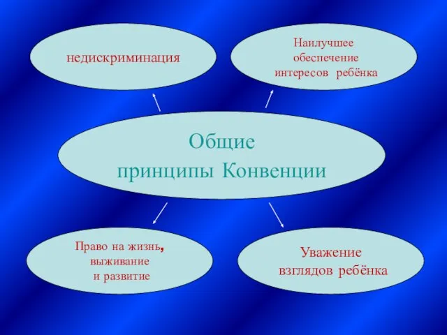 Общие принципы Конвенции недискриминация Наилучшее обеспечение интересов ребёнка Право на жизнь, выживание