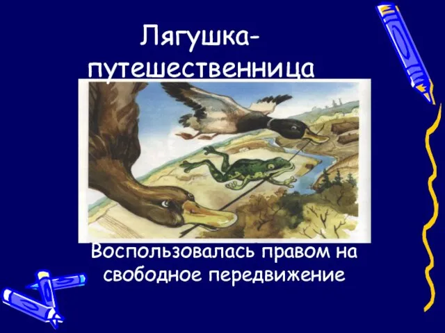 Лягушка-путешественница Воспользовалась правом на свободное передвижение