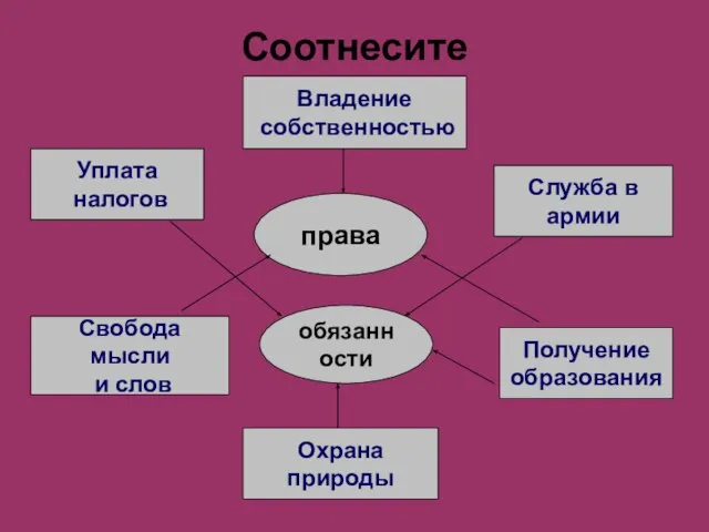 Соотнесите права обязанности Уплата налогов Служба в армии Охрана природы Получение образования