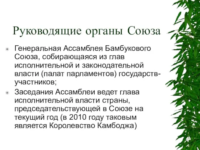 Руководящие органы Союза Генеральная Ассамблея Бамбукового Союза, собирающаяся из глав исполнительной и