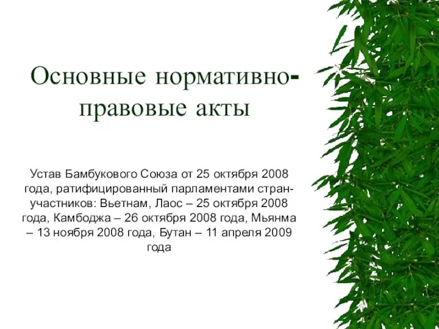 Основные нормативно-правовые акты Устав Бамбукового Союза от 25 октября 2008 года, ратифицированный