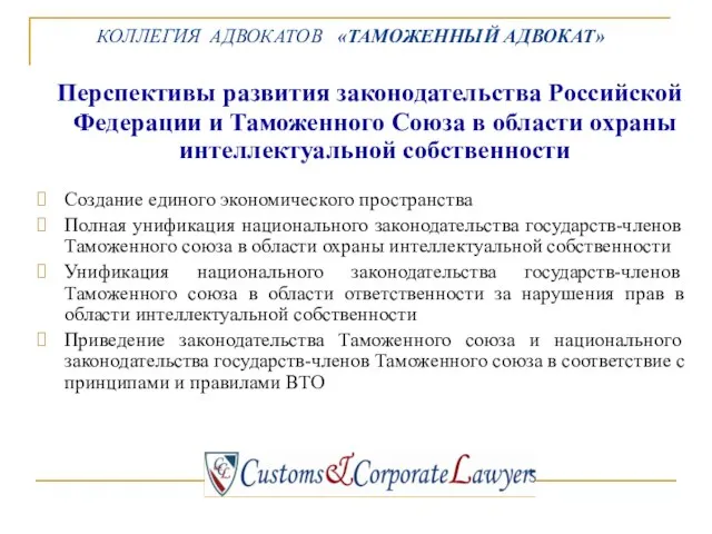 Перспективы развития законодательства Российской Федерации и Таможенного Союза в области охраны интеллектуальной