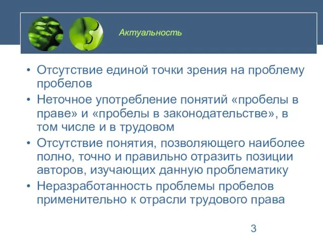 Актуальность Отсутствие единой точки зрения на проблему пробелов Неточное употребление понятий «пробелы