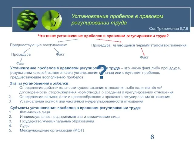 Установление пробелов в правовом регулировании труда См. Приложения 6,7,8 Что такое установление