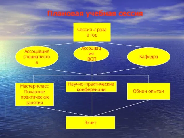 Плановая учебная сессия Сессия 2 раза в год Ассоциация специалистов Ассоциация ВОП