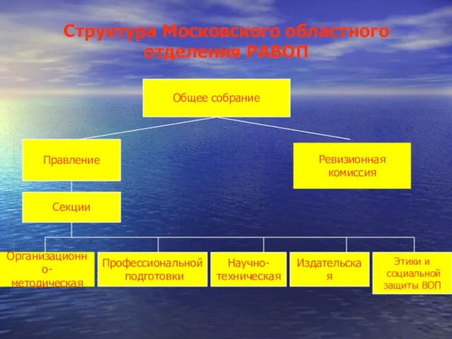 Структура Московского областного отделения РАВОП Общее собрание Правление Ревизионная комиссия Секции Организационно-