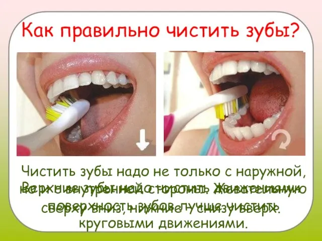 Как правильно чистить зубы? Верхние зубы надо чистить движениями сверху вниз, нижние