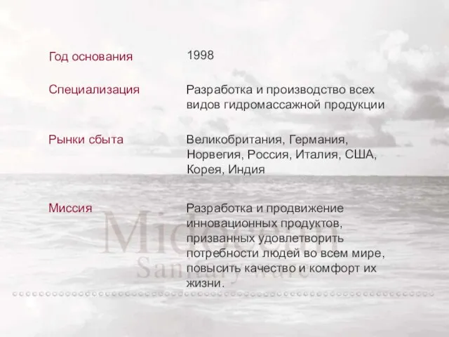 Год основания Специализация Разработка и производство всех видов гидромассажной продукции Рынки сбыта