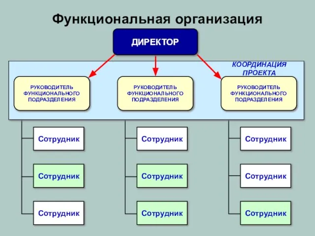 Функциональная организация