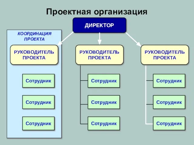 Проектная организация