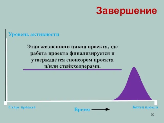 Уровень активности Время Старт проекта Конец прокта Завершение Этап жизненного цикла проекта,