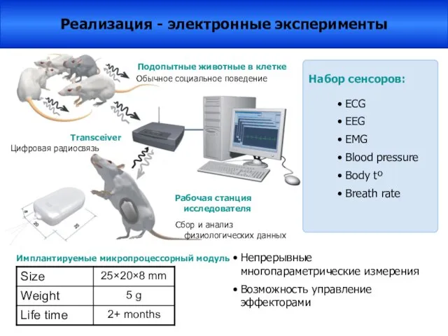 Имплантируемые микропроцессорный модуль Transceiver Цифровая радиосвязь Рабочая станция исследователя Сбор и анализ