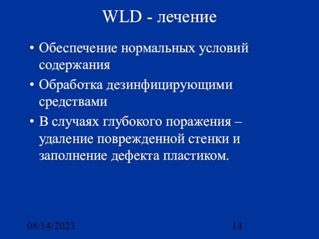 08/14/2023 WLD - лечение Обеспечение нормальных условий содержания Обработка дезинфицирующими средствами В