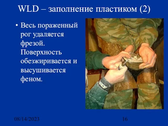 08/14/2023 WLD – заполнение пластиком (2) Весь пораженный рог удаляется фрезой. Поверхность обезжиривается и высушивается феном.