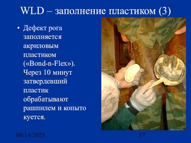 08/14/2023 WLD – заполнение пластиком (3) Дефект рога заполняется акриловым пластиком («Bond-n-Flex»).