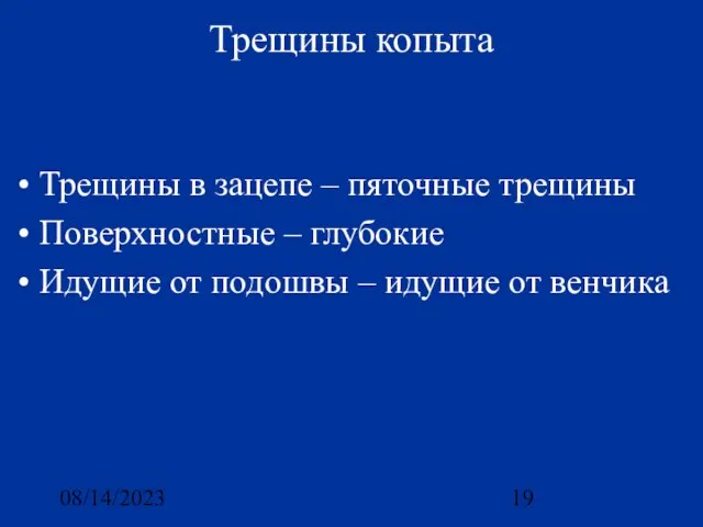 08/14/2023 Трещины копыта Трещины в зацепе – пяточные трещины Поверхностные – глубокие