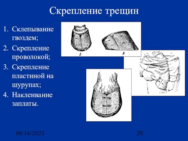 08/14/2023 Скрепление трещин Склепывание гвоздем; Скрепление проволокой; Скрепление пластиной на шурупах; Наклеивание заплаты.