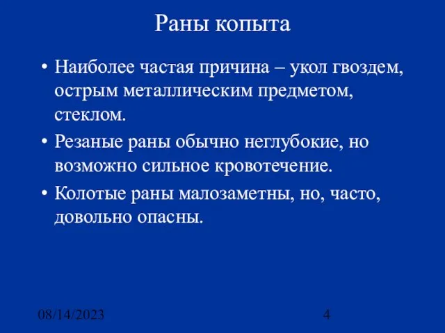 08/14/2023 Раны копыта Наиболее частая причина – укол гвоздем, острым металлическим предметом,