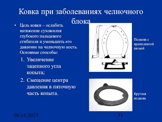 08/14/2023 Ковка при заболеваниях челночного блока Цель ковки – ослабить натяжение сухожилия