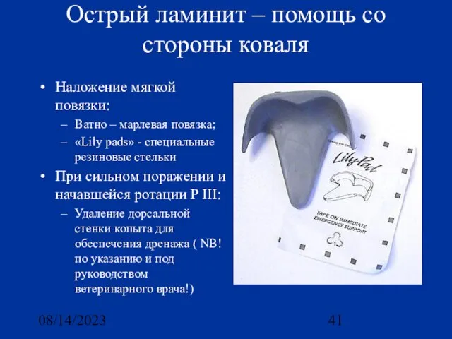 08/14/2023 Острый ламинит – помощь со стороны коваля Наложение мягкой повязки: Ватно