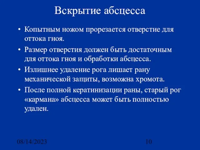 08/14/2023 Вскрытие абсцесса Копытным ножом прорезается отверстие для оттока гноя. Размер отверстия