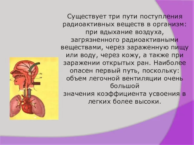 Существует три пути поступления радиоактивных веществ в организм: при вдыхание воздуха, загрязненного