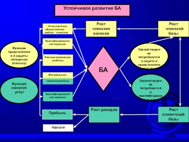 Функция представления и защиты интересов (Advocacy) Функция оказания услуг Устойчивое развитие БА