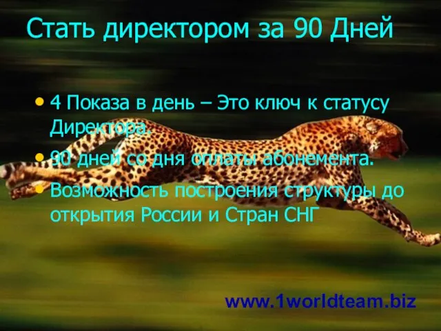 4 Показа в день – Это ключ к статусу Директора. 90 дней