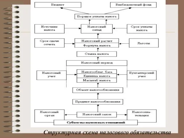 Структурная схема налогового обязательства